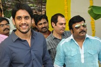 Naga Chaitanya Sunil Movie Opening